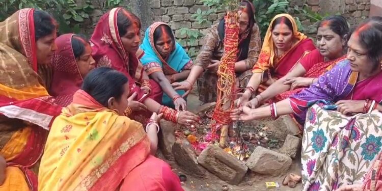 अक्षय नवमी पर कोयलांचल के विभिन्न क्षेत्रों में की गई आंवला वृक्ष की पूजा