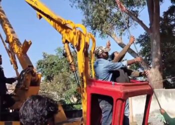 90 फिट ऊंचे पेड़ में फंसे पक्षी को पक्षी प्रेमी ने वन विभाग और नगर निगम की मदद से बचाई जान