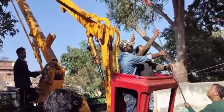 90 फिट ऊंचे पेड़ में फंसे पक्षी को पक्षी प्रेमी ने वन विभाग और नगर निगम की मदद से बचाई जान