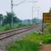 नवादा में बिना फाटक चातर हॉल्ट के समीप मालगाड़ी ने ऑटो में मारा टक्कर, एक की मौत, सात घायल