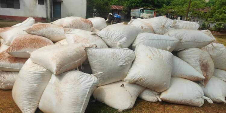 चाईबासा पुलिस को मिली बड़ी सफलता, तीन करोड़ रुपये का डोडा किया बरामद, जंगल में छुपा कर तस्करी के लिए रखा गया था