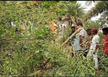 आसनसोल के इसीएल की बंद खदान से मिली सर कटी लाश, क्षेत्र में सनसनी