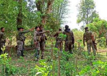 चाईबासा के सारंडा में सुरक्षाबलों और नक्सलियों के बीच मुठभेड़, भारी मात्रा में गोला-बारूद बरामद