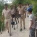 सारण में ट्रिपल मर्डर, सिरफिरे प्रेमी ने पिता और दो नाबालिग लड़की को उतारा मौत के घाट, प्रेमी सहित 2 गिरफ्तार
