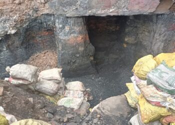 अलकडीहा ओपी क्षेत्र के पांच नंबर चानक और बीआर कंपनी क्षेत्र में CISF और स्थानीय पुलिस की संयुक्त छापेमारी