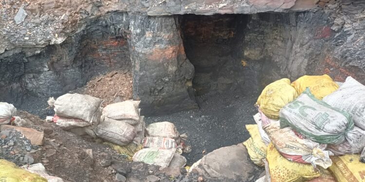 अलकडीहा ओपी क्षेत्र के पांच नंबर चानक और बीआर कंपनी क्षेत्र में CISF और स्थानीय पुलिस की संयुक्त छापेमारी