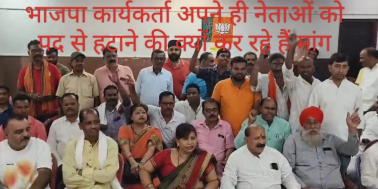 धनबाद में भाजपा कार्यकर्ता… विधायक राज सिन्हा, महानगर अध्यक्ष श्रवण राय और प्रदेश मंत्री सरोज सिंह को पद से हटाने की क्यों कर रहें है मांग
