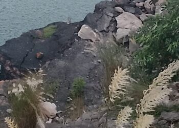 निरसा में ECL के बंद कापासारा कोलियरी में अवैध माइनिंग के दौरान धंसी चाल, आधा दर्जन लोगो के दबने की आशंका