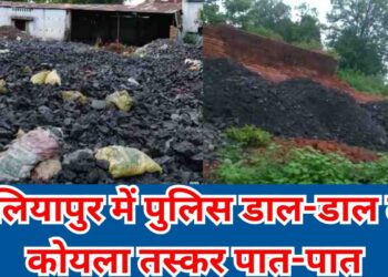बलियापुर में मनीष, संदीप, राजेश और साहिल का चल रहा अवैध कोयले काला खेल !