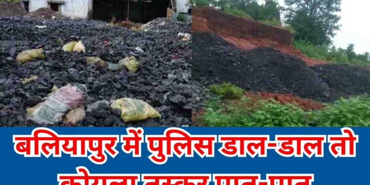 बलियापुर में मनीष, संदीप, राजेश और साहिल का चल रहा अवैध कोयले काला खेल !