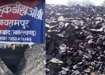 अलकडीहा ओपी क्षेत्र में एक बार फिर अवैध कोयला कारोबार शुरू, पुलिस – प्रशासन मौन