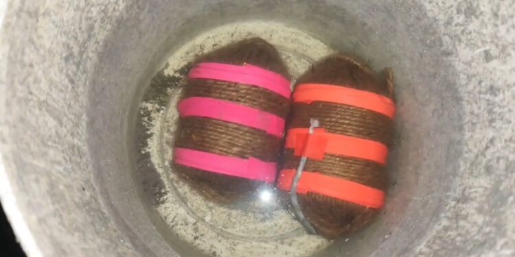 भौंरा में बंद मकान से चार जिंदा बम बरामद, एक युवक हिरासत में, सनसनी