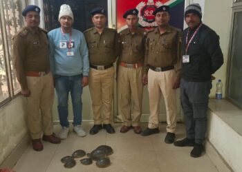 योग नगरी–हावड़ा एक्सप्रेस से आइपीएफ ने बरामद किया 7 कछुआ, वन विभाग को सौंपा गया