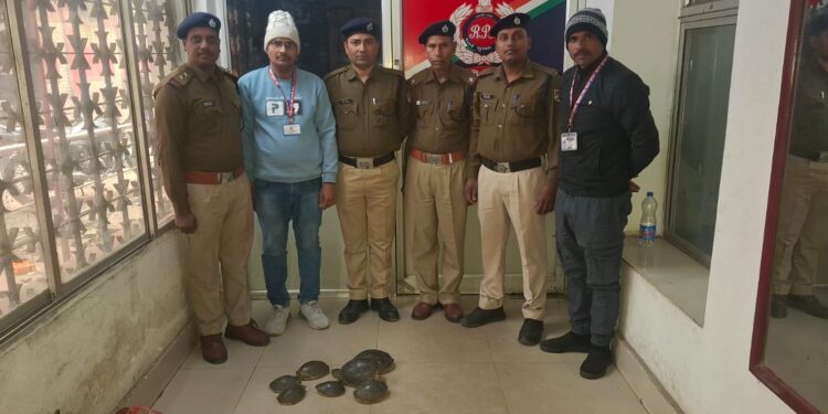योग नगरी–हावड़ा एक्सप्रेस से आइपीएफ ने बरामद किया 7 कछुआ, वन विभाग को सौंपा गया